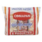Galleticas-Surtidas-Comapan-252-G-x-6-Unds
