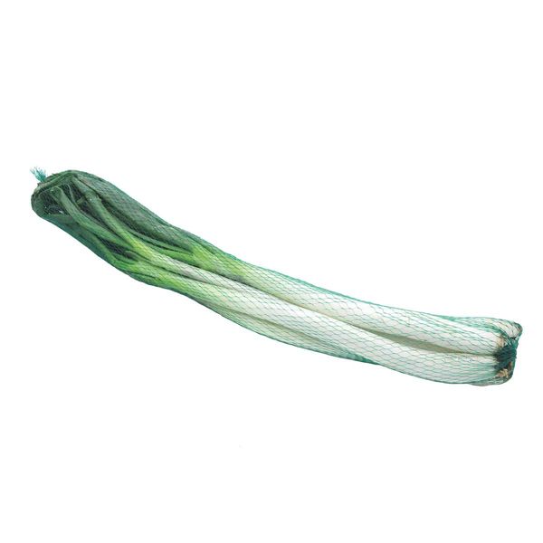 Cebolla Larga Paquete x 500 G