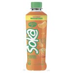 Bebida-Soka-Alpina-Mandarina-x-410-Ml