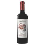 Vino-Santa-Carolina-Reserva-Cabernet-Sauvignon-x-750-Ml
