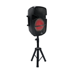 Parlante-Recargable-30W-Con-Luces-Led-Y-Tripode-Vta