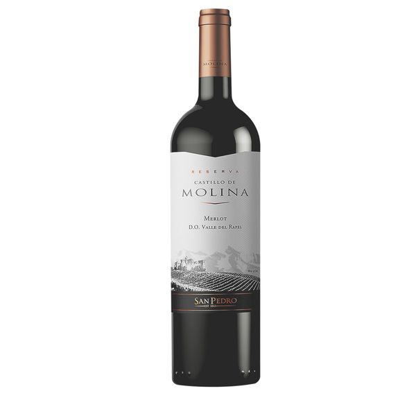 Vino castillo molina merlot x 750 ML