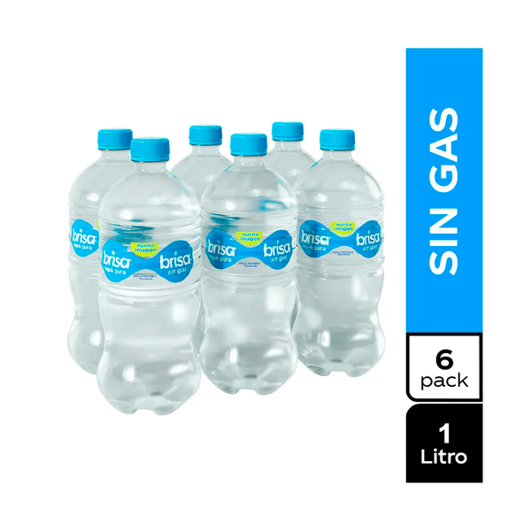 6Pack Brisa x 1 L