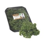 Perejil-Crespo-Freska-Organico-50-Grm