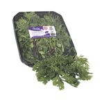 Cilantro-Freska-Organico-50-Grm